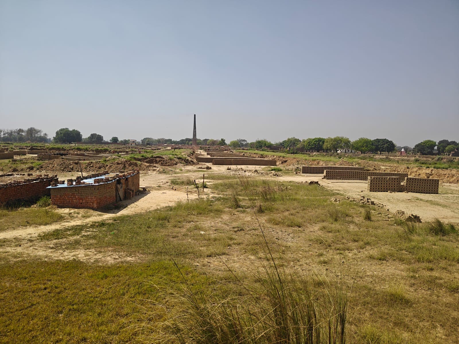 Patkholi Gaushala