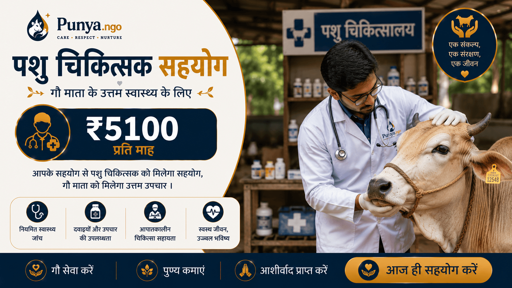 Veterinary Doctor Support