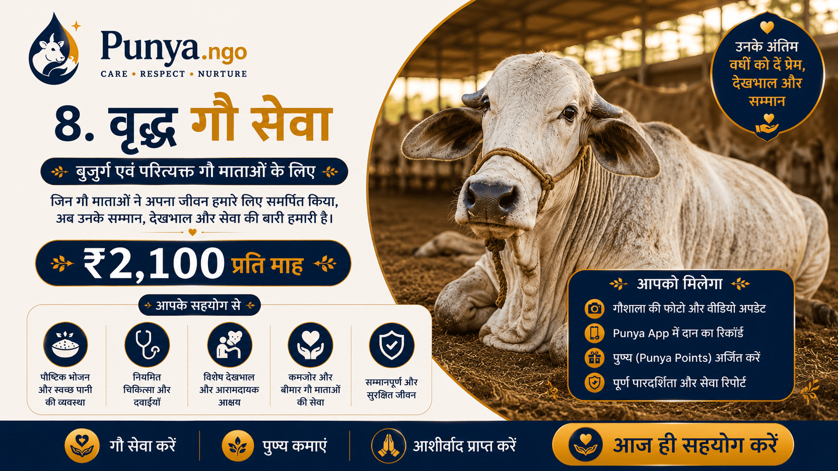 Elderly Cow Care Program