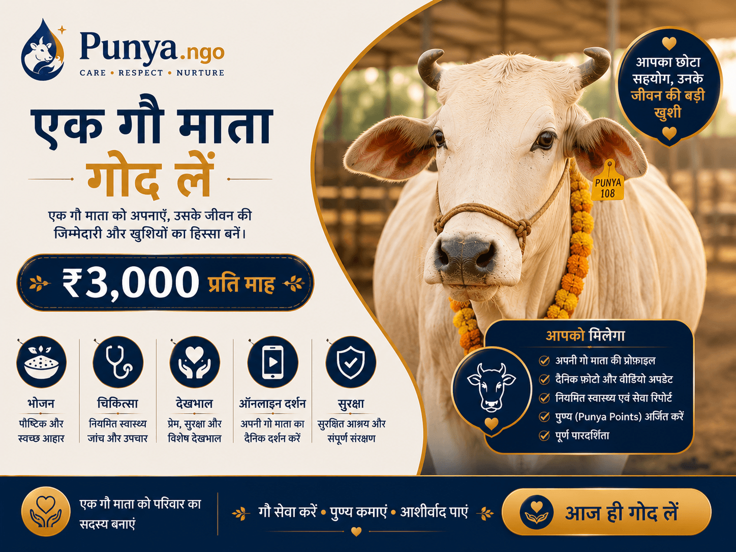 Adopt a Cow