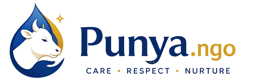 Punya.ngo