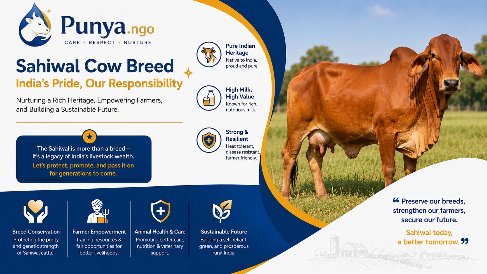 Sahiwal Cow Breed in India | Complete Guide to Indian Cattle