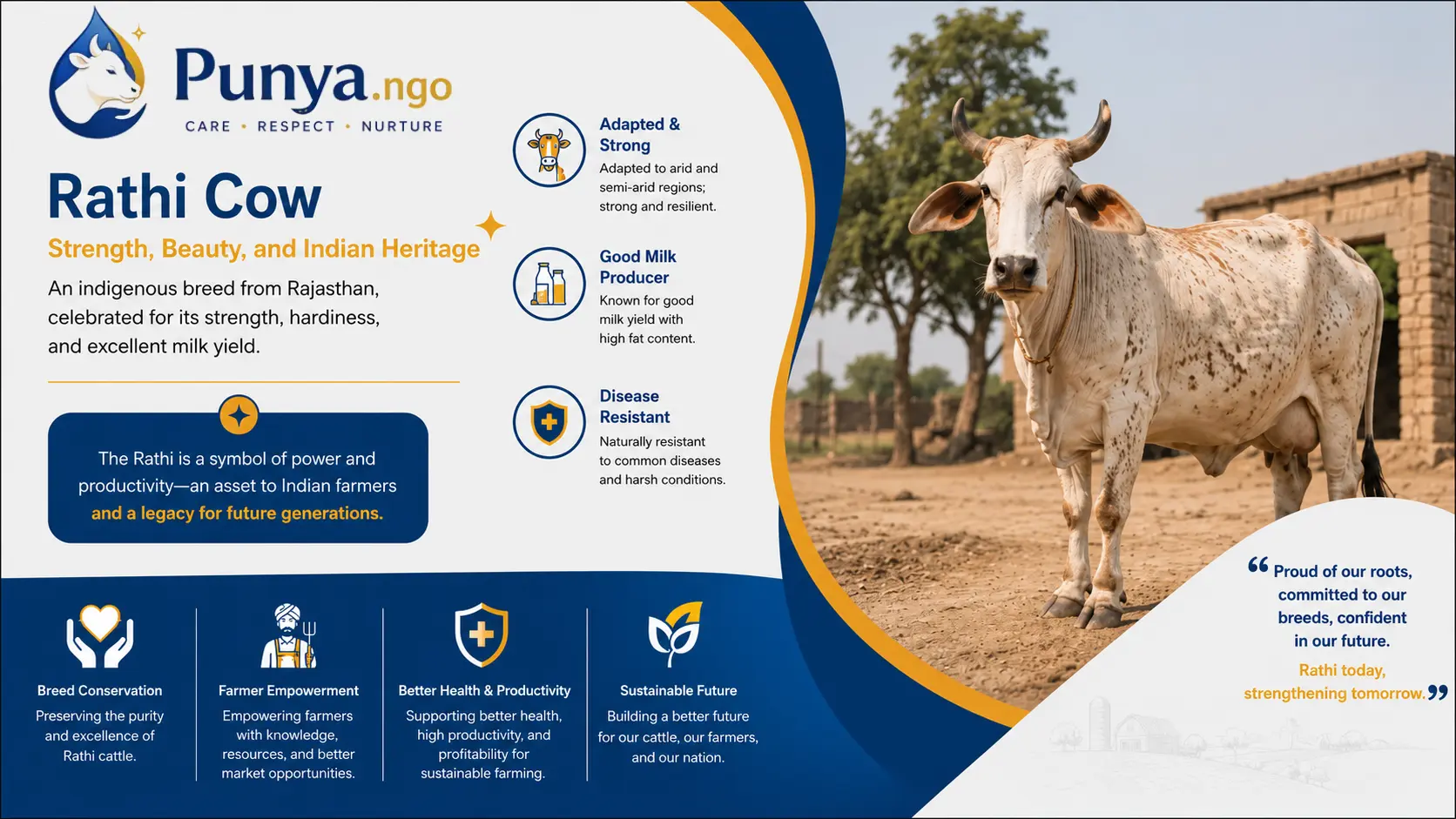 Rathi Cow Breed in India | Complete Guide