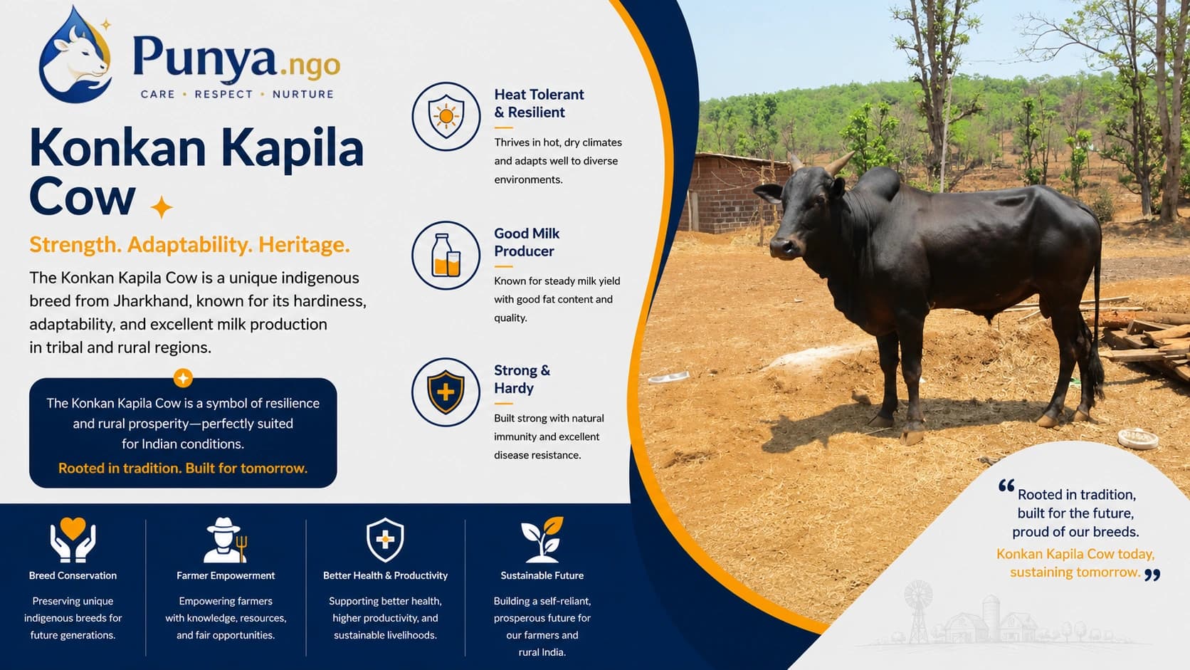 Konkan Kapila Cow Breed in India | Complete Guide