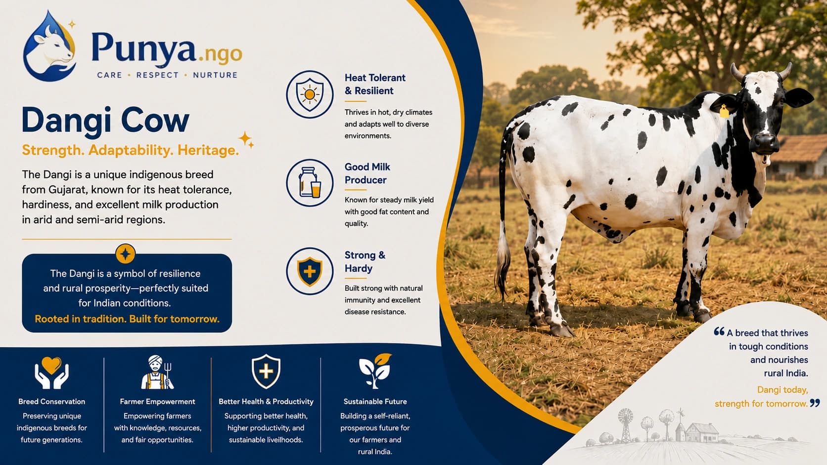 Dangi Cow Breed in India | Milk Yield & Benefits